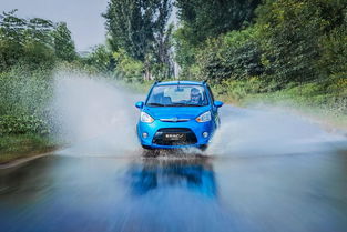 19年新能源汽車銷量盤點(diǎn) 微型車市場(chǎng)格局生變，奇瑞小螞蟻跌出前五